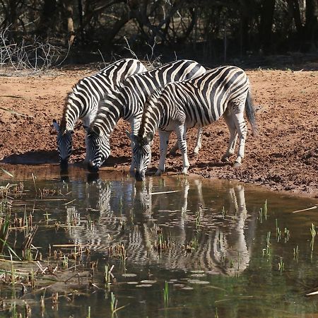 Bushbaby Lodge & Camping Hluhluwe Kültér fotó