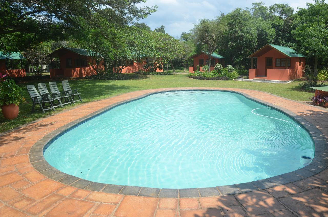 Bushbaby Lodge & Camping Hluhluwe Kültér fotó