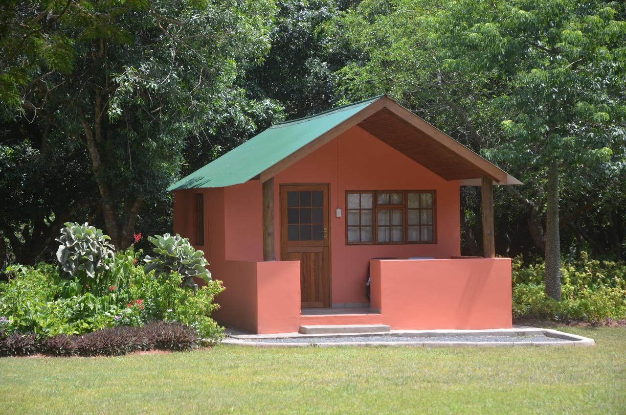 Bushbaby Lodge & Camping Hluhluwe Kültér fotó