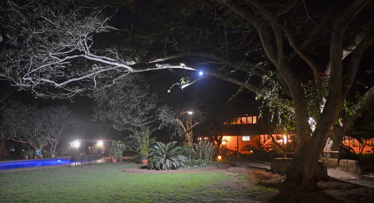 Bushbaby Lodge & Camping Hluhluwe Kültér fotó